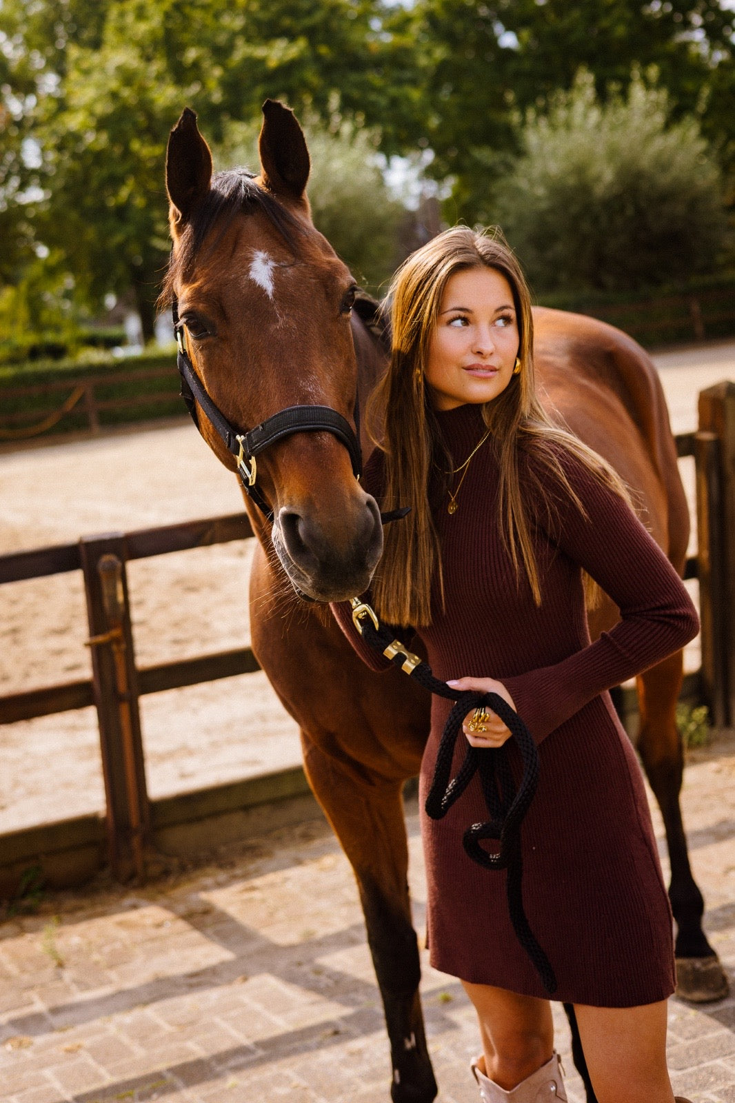 Nina dress - bruin