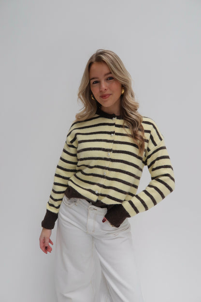 Leya cardigan - bruin/geel