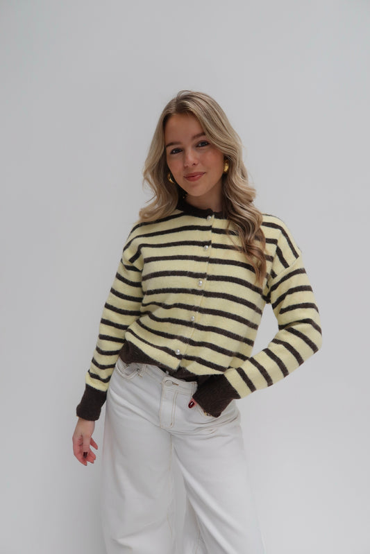 Leya cardigan - bruin/geel
