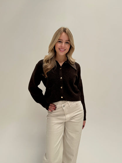 Faith cardigan - bruin