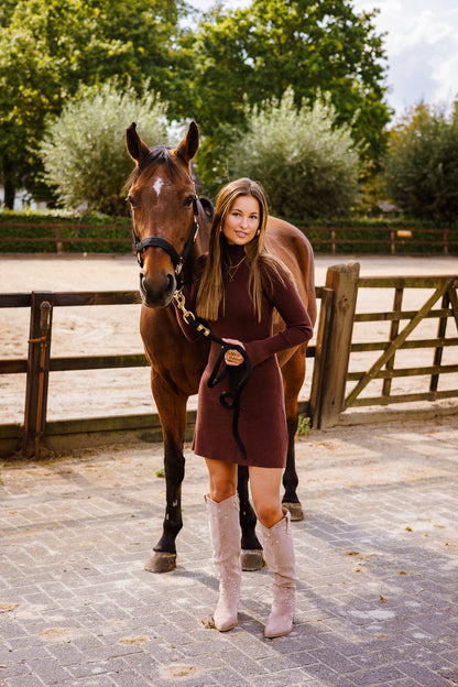 Nina dress - bruin