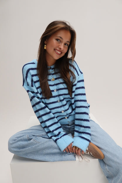 Lola striped cardigan - blauw